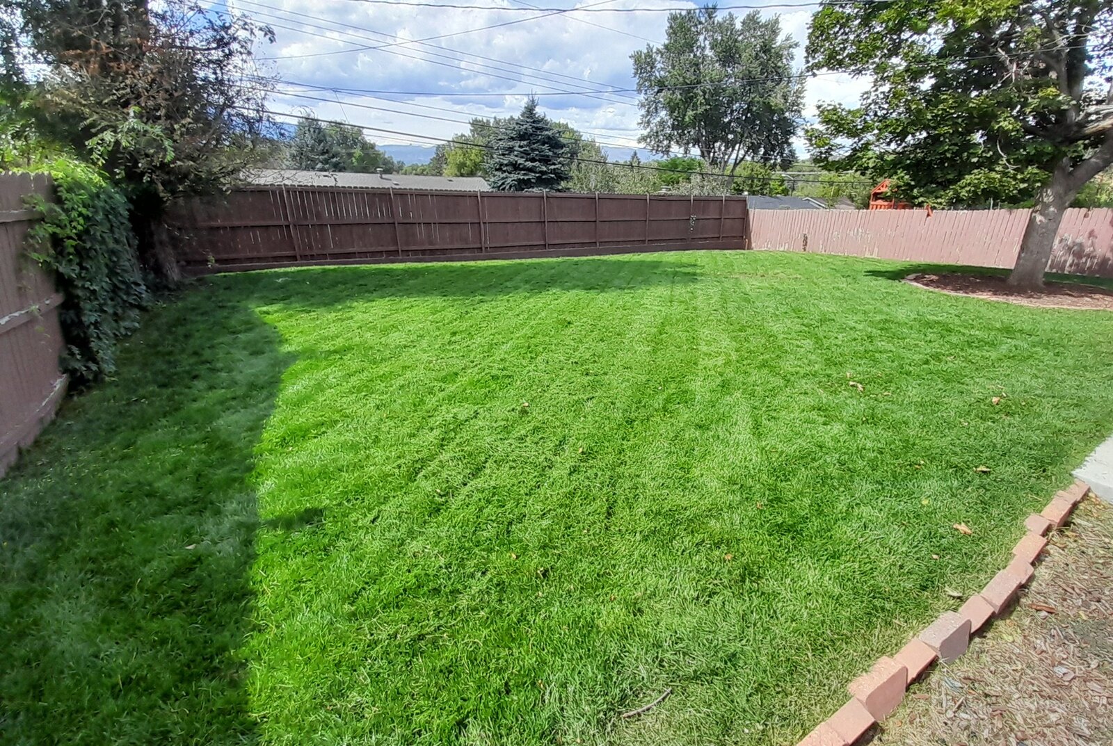 Freshly maintained backyard lawn