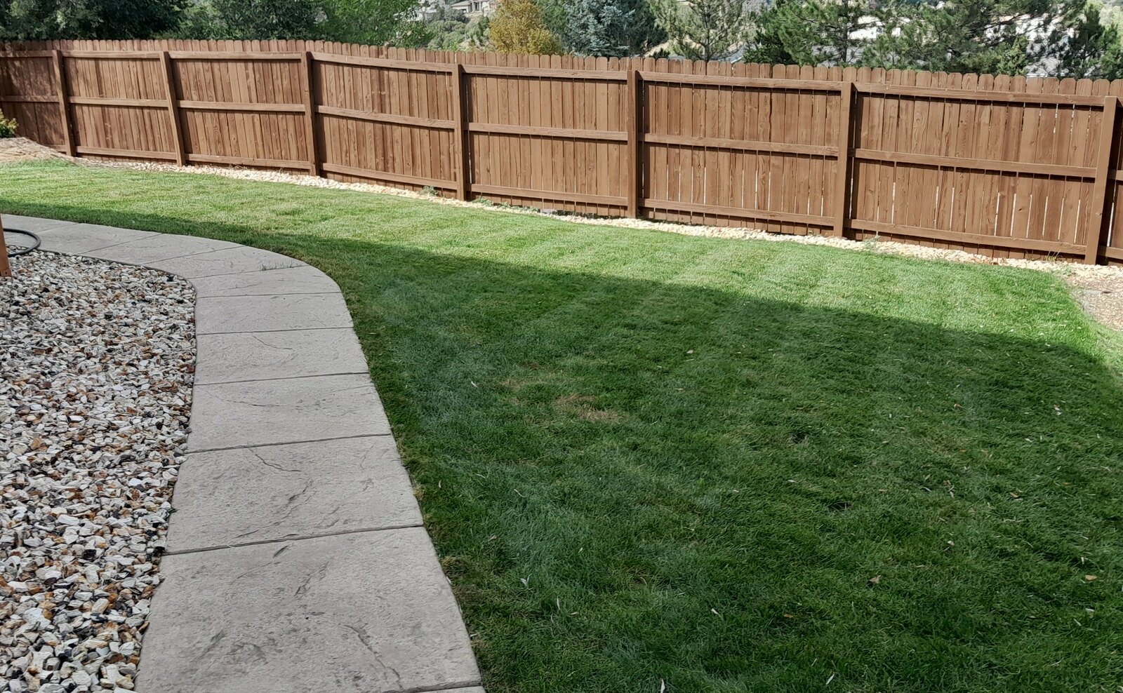 Maintained smaller lawn beside a curved walkway