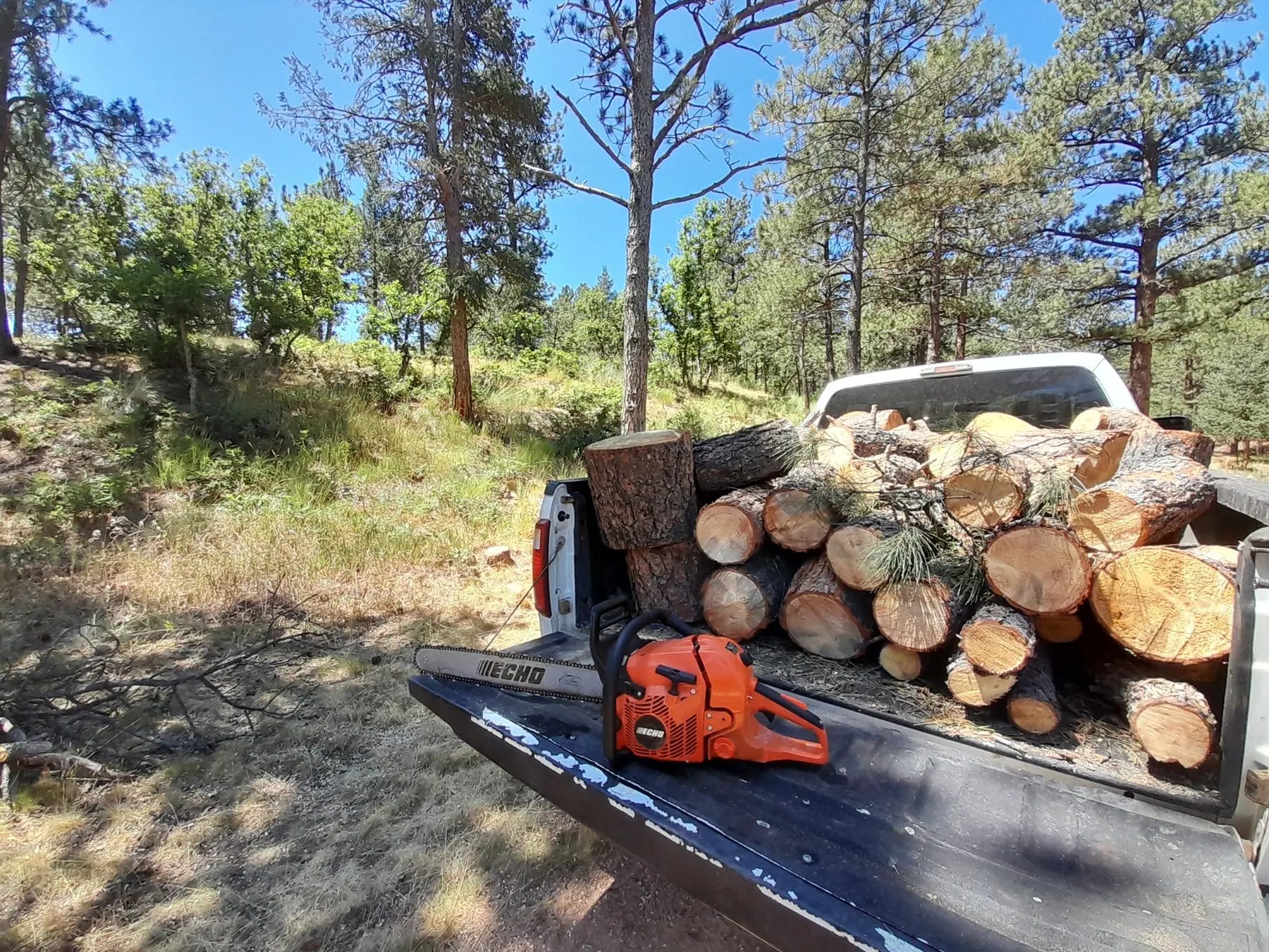 Cut logs and removed fuel loaded for hauling after wildfire mitigation work